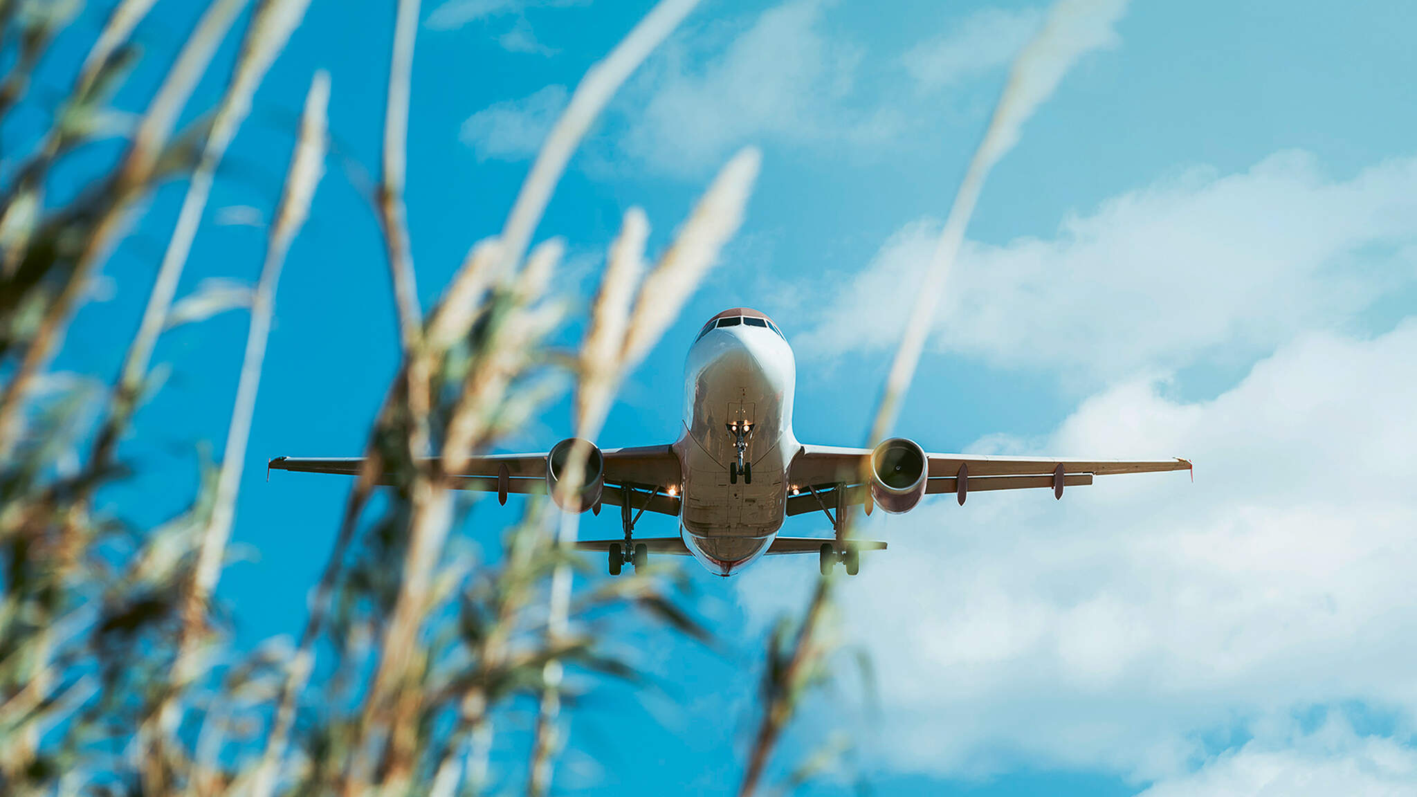 DACHSER umožňuje spoločnosti Ricola používať udržateľné letecké palivá (SAF), ktoré len v prvej polovici roka 2023 ušetrili viac ako 150 ton CO₂e.
